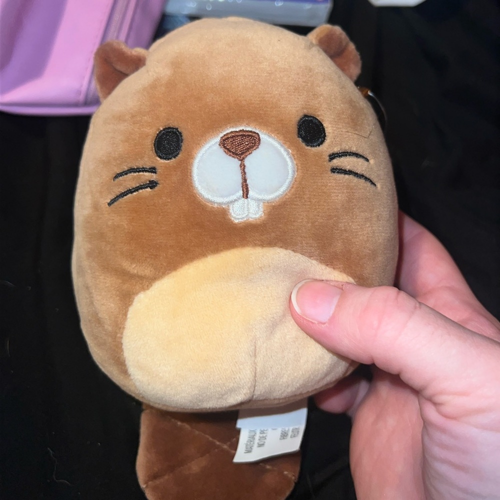 Chip the squishmallow